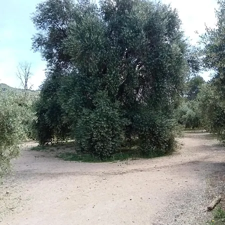 El Almendro De La Tia Teresa Apartment *
